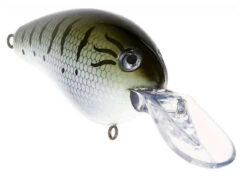 Livingston Lures Pro Series Dive Master 14 Crankbait