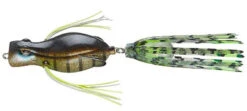 Teckel USA Duckroaker Popper Frog - Bluegill